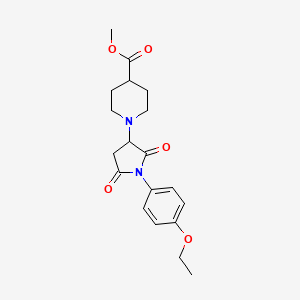 molecular formula C19H24N2O5 B4072854 methyl 1-[1-(4-ethoxyphenyl)-2,5-dioxo-3-pyrrolidinyl]-4-piperidinecarboxylate 