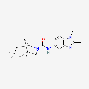 molecular formula C20H28N4O B4073679 N-(1,2-dimethyl-1H-benzimidazol-5-yl)-1,3,3-trimethyl-6-azabicyclo[3.2.1]octane-6-carboxamide 