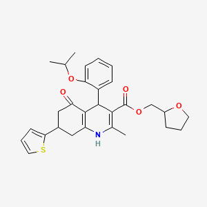 molecular formula C29H33NO5S B4073712 tetrahydro-2-furanylmethyl 4-(2-isopropoxyphenyl)-2-methyl-5-oxo-7-(2-thienyl)-1,4,5,6,7,8-hexahydro-3-quinolinecarboxylate 