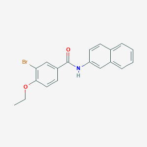 molecular formula C19H16BrNO2 B407857 3-bromo-4-ethoxy-N-(naphthalen-2-yl)benzamide 