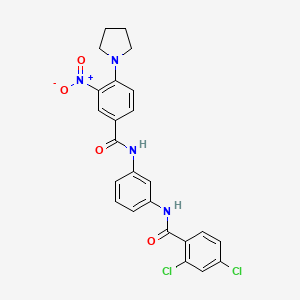 2,4-dichloro-N-(3-{[3-nitro-4-(1-pyrrolidinyl)benzoyl]amino}phenyl)benzamide