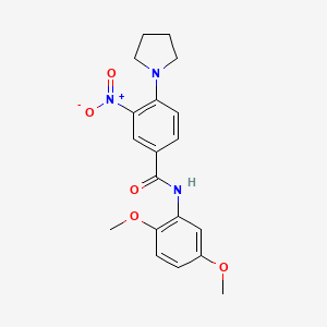 molecular formula C19H21N3O5 B4080024 N-(2,5-dimethoxyphenyl)-3-nitro-4-(1-pyrrolidinyl)benzamide 