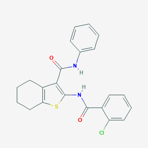 molecular formula C22H19ClN2O2S B408083 2-[(2-chlorobenzoyl)amino]-N-phenyl-4,5,6,7-tetrahydro-1-benzothiophene-3-carboxamide 