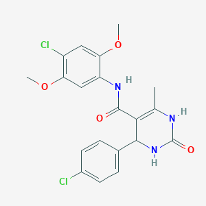molecular formula C20H19Cl2N3O4 B4083403 N-(4-chloro-2,5-dimethoxyphenyl)-4-(4-chlorophenyl)-6-methyl-2-oxo-1,2,3,4-tetrahydro-5-pyrimidinecarboxamide 