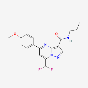 molecular formula C18H18F2N4O2 B4084415 7-(difluoromethyl)-5-(4-methoxyphenyl)-N-propylpyrazolo[1,5-a]pyrimidine-3-carboxamide 