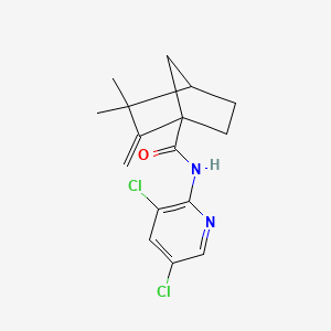 molecular formula C16H18Cl2N2O B4084756 N-(3,5-dichloro-2-pyridinyl)-3,3-dimethyl-2-methylenebicyclo[2.2.1]heptane-1-carboxamide 