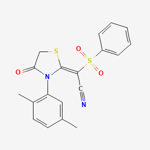 molecular formula C19H16N2O3S2 B4086427 [3-(2,5-dimethylphenyl)-4-oxo-1,3-thiazolidin-2-ylidene](phenylsulfonyl)acetonitrile 