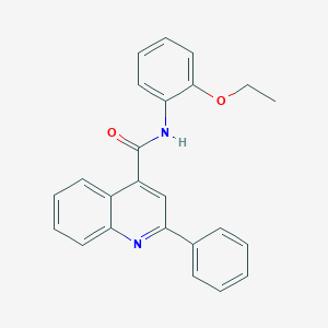molecular formula C24H20N2O2 B408873 N-(2-ethoxyphenyl)-2-phenylquinoline-4-carboxamide CAS No. 332116-86-6