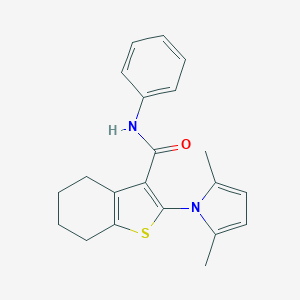 2-(2,5-dimethyl-1H-pyrrol-1-yl)-N-phenyl-4,5,6,7-tetrahydro-1-benzothiophene-3-carboxamide