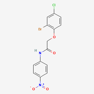 molecular formula C14H10BrClN2O4 B4091571 2-(2-bromo-4-chlorophenoxy)-N-(4-nitrophenyl)acetamide 