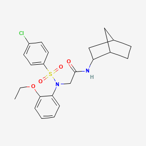 N~1~-bicyclo[2.2.1]hept-2-yl-N~2~-[(4-chlorophenyl)sulfonyl]-N~2~-(2-ethoxyphenyl)glycinamide