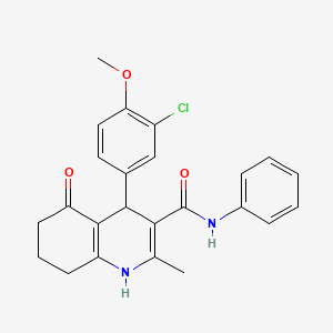 molecular formula C24H23ClN2O3 B4094136 4-(3-chloro-4-methoxyphenyl)-2-methyl-5-oxo-N-phenyl-1,4,5,6,7,8-hexahydroquinoline-3-carboxamide 