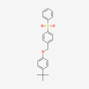 molecular formula C23H24O3S B4094207 1-tert-butyl-4-{[4-(phenylsulfonyl)benzyl]oxy}benzene 