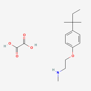 molecular formula C16H25NO5 B4096581 N-methyl-2-[4-(2-methylbutan-2-yl)phenoxy]ethanamine;oxalic acid 