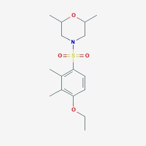 molecular formula C16H25NO4S B4098508 4-(4-Ethoxy-2,3-dimethylphenyl)sulfonyl-2,6-dimethylmorpholine 