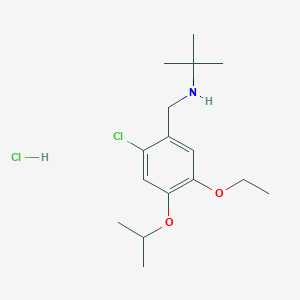 N-[(2-chloro-5-ethoxy-4-propan-2-yloxyphenyl)methyl]-2-methylpropan-2-amine;hydrochloride