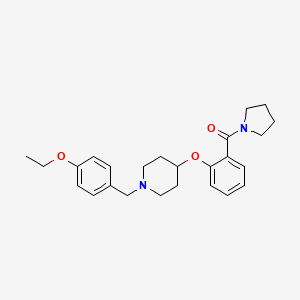 1-(4-ethoxybenzyl)-4-[2-(1-pyrrolidinylcarbonyl)phenoxy]piperidine