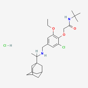 molecular formula C27H42Cl2N2O3 B4100201 2-[4-[[1-(1-adamantyl)ethylamino]methyl]-2-chloro-6-ethoxyphenoxy]-N-tert-butylacetamide;hydrochloride 