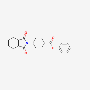 4-tert-butylphenyl 4-(1,3-dioxooctahydro-2H-isoindol-2-yl)cyclohexanecarboxylate