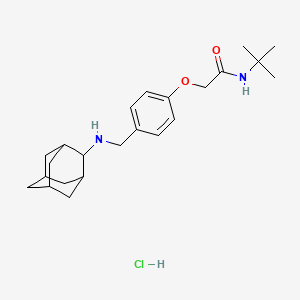 2-{4-[(2-adamantylamino)methyl]phenoxy}-N-(tert-butyl)acetamide hydrochloride