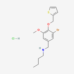 N-[3-bromo-5-methoxy-4-(2-thienylmethoxy)benzyl]-1-butanamine hydrochloride