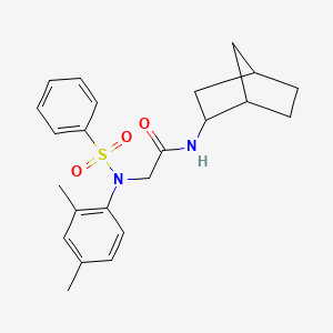 molecular formula C23H28N2O3S B4103178 N~1~-bicyclo[2.2.1]hept-2-yl-N~2~-(2,4-dimethylphenyl)-N~2~-(phenylsulfonyl)glycinamide 