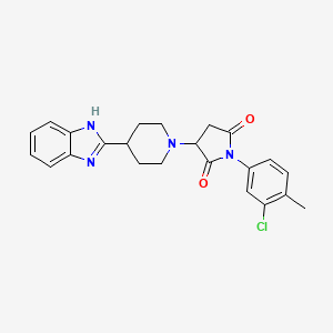 molecular formula C23H23ClN4O2 B4107262 3-[4-(1H-benzimidazol-2-yl)-1-piperidinyl]-1-(3-chloro-4-methylphenyl)-2,5-pyrrolidinedione 