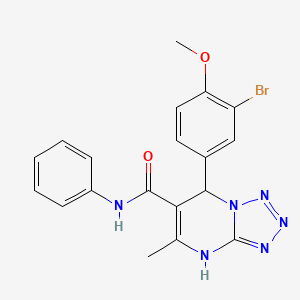 7-(3-bromo-4-methoxyphenyl)-5-methyl-N-phenyl-4,7-dihydrotetrazolo[1,5-a]pyrimidine-6-carboxamide
