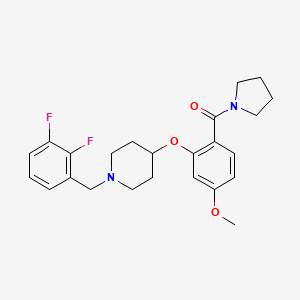 molecular formula C24H28F2N2O3 B4110341 1-(2,3-difluorobenzyl)-4-[5-methoxy-2-(1-pyrrolidinylcarbonyl)phenoxy]piperidine 