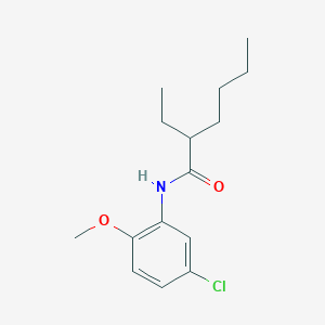 N-(5-chloro-2-methoxyphenyl)-2-ethylhexanamide