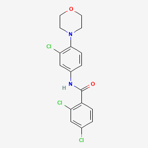 2,4-dichloro-N-[3-chloro-4-(4-morpholinyl)phenyl]benzamide