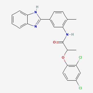 molecular formula C23H19Cl2N3O2 B4112881 N-[5-(1H-benzimidazol-2-yl)-2-methylphenyl]-2-(2,4-dichlorophenoxy)propanamide 