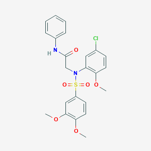 molecular formula C23H23ClN2O6S B411329 2-{5-chloro[(3,4-dimethoxyphenyl)sulfonyl]-2-methoxyanilino}-N-phenylacetamide 