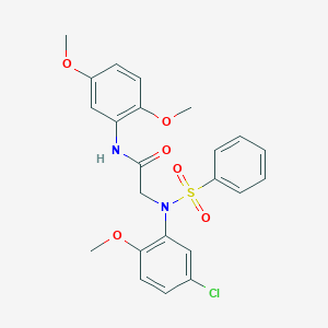 2-[5-chloro-2-methoxy(phenylsulfonyl)anilino]-N-(2,5-dimethoxyphenyl)acetamide