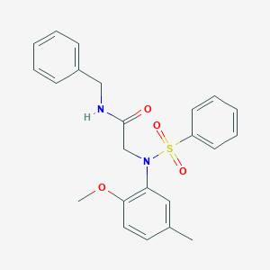 molecular formula C23H24N2O4S B411597 N-benzyl-2-[2-methoxy-5-methyl(phenylsulfonyl)anilino]acetamide 
