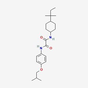 molecular formula C23H36N2O3 B4116084 N-[4-(1,1-dimethylpropyl)cyclohexyl]-N'-(4-isobutoxyphenyl)ethanediamide 