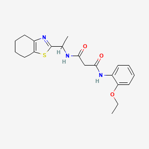 N-(2-ethoxyphenyl)-N'-[1-(4,5,6,7-tetrahydro-1,3-benzothiazol-2-yl)ethyl]malonamide