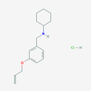 N-[3-(allyloxy)benzyl]cyclohexanamine hydrochloride