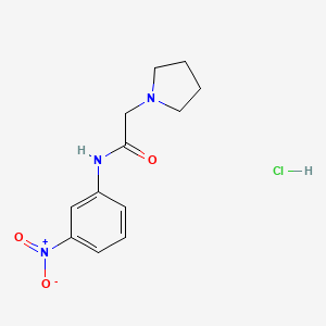 N-(3-nitrophenyl)-2-(1-pyrrolidinyl)acetamide hydrochloride