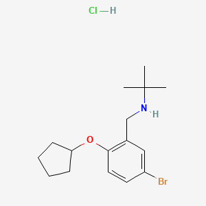 molecular formula C16H25BrClNO B4135104 N-[5-bromo-2-(cyclopentyloxy)benzyl]-2-methyl-2-propanamine hydrochloride 