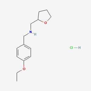 molecular formula C14H22ClNO2 B4136531 (4-ethoxybenzyl)(tetrahydro-2-furanylmethyl)amine hydrochloride 