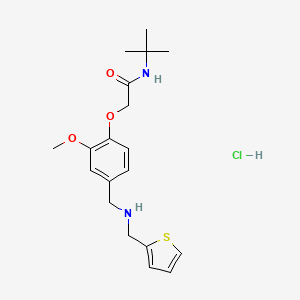 molecular formula C19H27ClN2O3S B4136805 N-(tert-butyl)-2-(2-methoxy-4-{[(2-thienylmethyl)amino]methyl}phenoxy)acetamide hydrochloride 