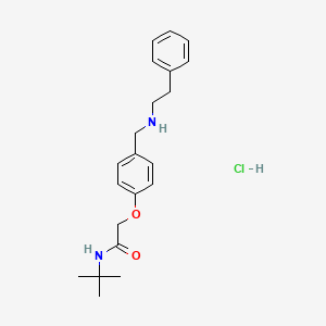 molecular formula C21H29ClN2O2 B4138285 N-(tert-butyl)-2-(4-{[(2-phenylethyl)amino]methyl}phenoxy)acetamide hydrochloride 