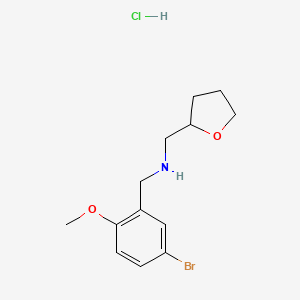 molecular formula C13H19BrClNO2 B4138635 (5-bromo-2-methoxybenzyl)(tetrahydro-2-furanylmethyl)amine hydrochloride 