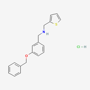 molecular formula C19H20ClNOS B4138807 [3-(benzyloxy)benzyl](2-thienylmethyl)amine hydrochloride 