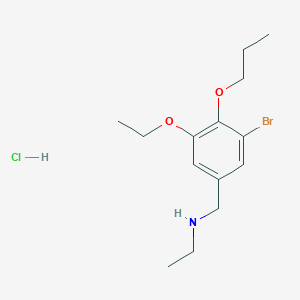 molecular formula C14H23BrClNO2 B4139094 N-(3-bromo-5-ethoxy-4-propoxybenzyl)ethanamine hydrochloride 