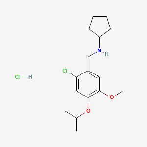 molecular formula C16H25Cl2NO2 B4139501 N-(2-chloro-4-isopropoxy-5-methoxybenzyl)cyclopentanamine hydrochloride 