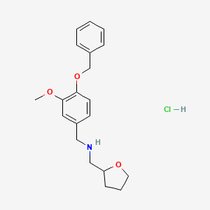 molecular formula C20H26ClNO3 B4139999 [4-(benzyloxy)-3-methoxybenzyl](tetrahydro-2-furanylmethyl)amine hydrochloride 