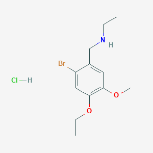molecular formula C12H19BrClNO2 B4141037 N-(2-bromo-4-ethoxy-5-methoxybenzyl)ethanamine hydrochloride 