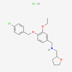 molecular formula C21H27Cl2NO3 B4141588 {4-[(4-chlorobenzyl)oxy]-3-ethoxybenzyl}(tetrahydro-2-furanylmethyl)amine hydrochloride 